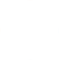 Google Icon White