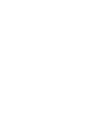 HubSpot Icon White