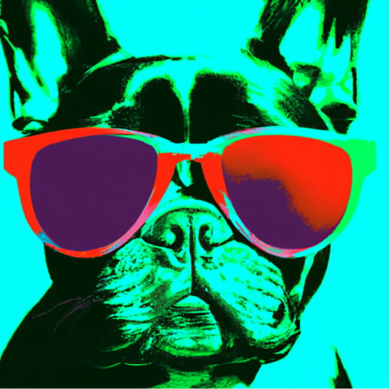 french bulldog with sunglasses on