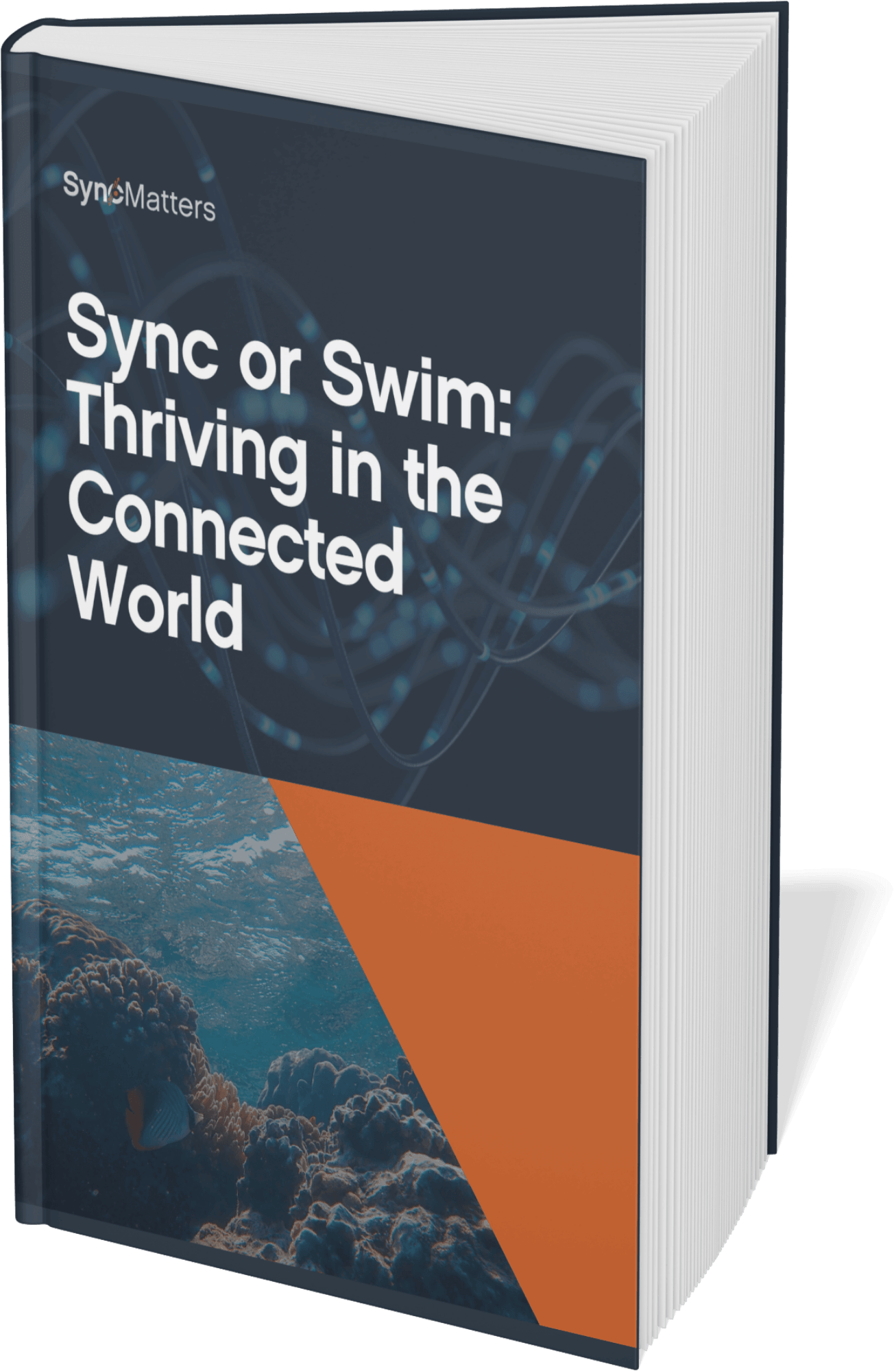 mockups_20(10)_resized